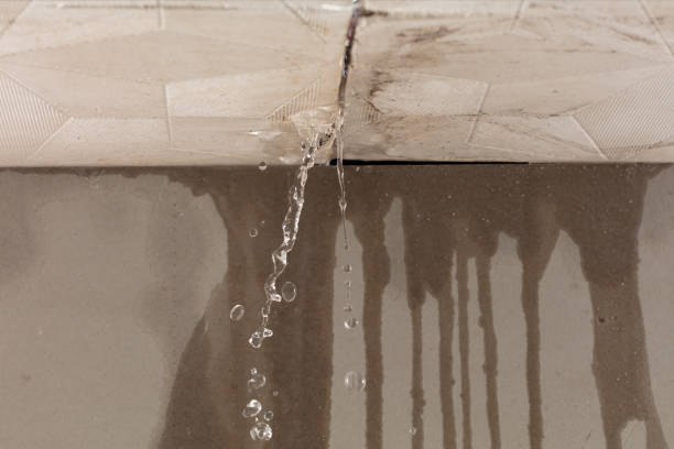 Professional Sewage Cleanup technician working in Lone Tree, CO